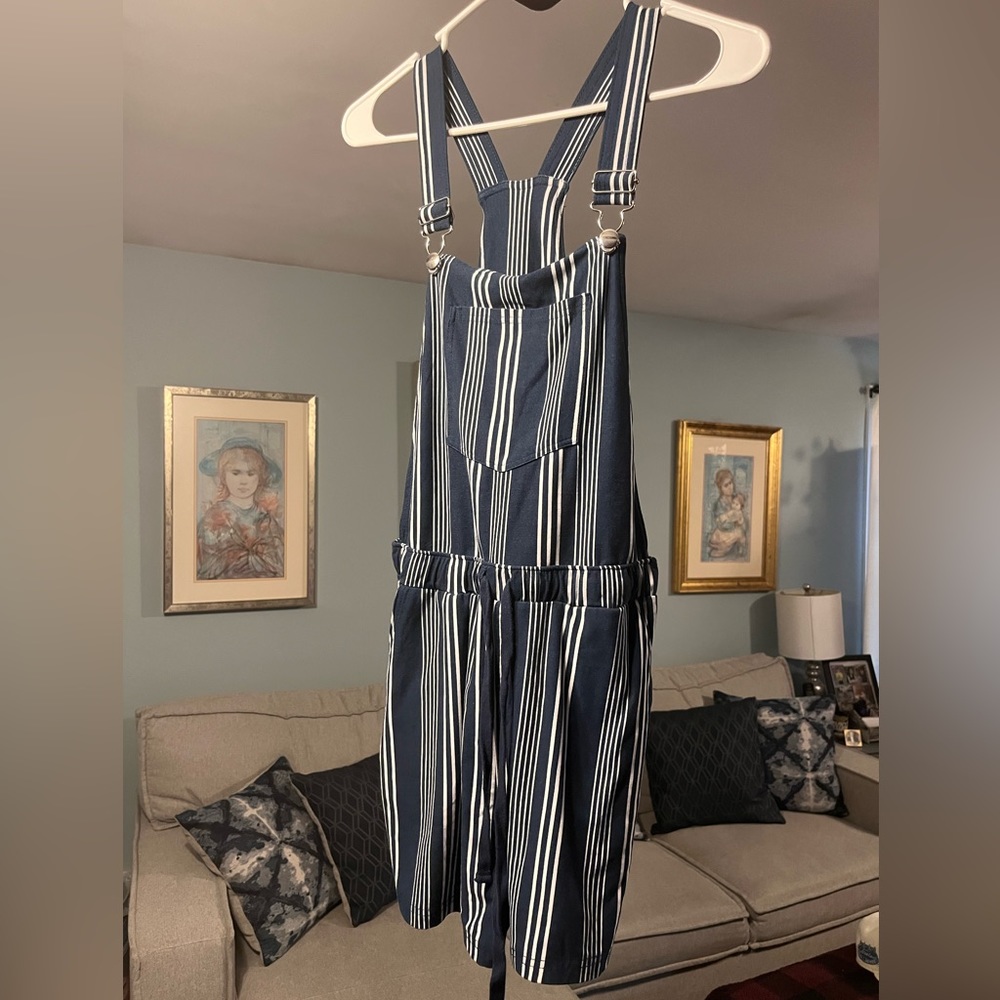Cute Blue and White Overalls